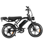 V20 PRO ULTIMATE FATBIKE
