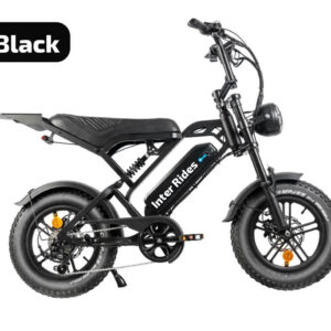 V20 PRO MINI ULTIMATE FATBIKE