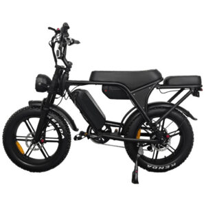 Fatbikes