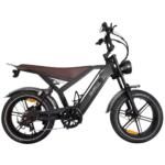 OUXI GT20 FATBIKE